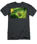 5 Pholidoptera Griseoaptera Dark Bush Cricket Nymph Insect Frank Ramspott T-Shirt