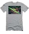 6 Leptophyes Punctatissima Speckled Bush Cricket Nymph Insect Frank Ramspott T-Shirt