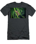 6 Pholidoptera Griseoaptera Dark Bush Cricket Insect Frank Ramspott T-Shirt