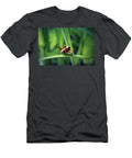 6 Pholidoptera Griseoaptera Dark Bush Cricket Nymph Insect Frank Ramspott T-Shirt