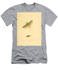 62 Insects Beautiful Nature Prints T-Shirt