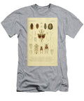 67 Insects Beautiful Nature Prints T-Shirt