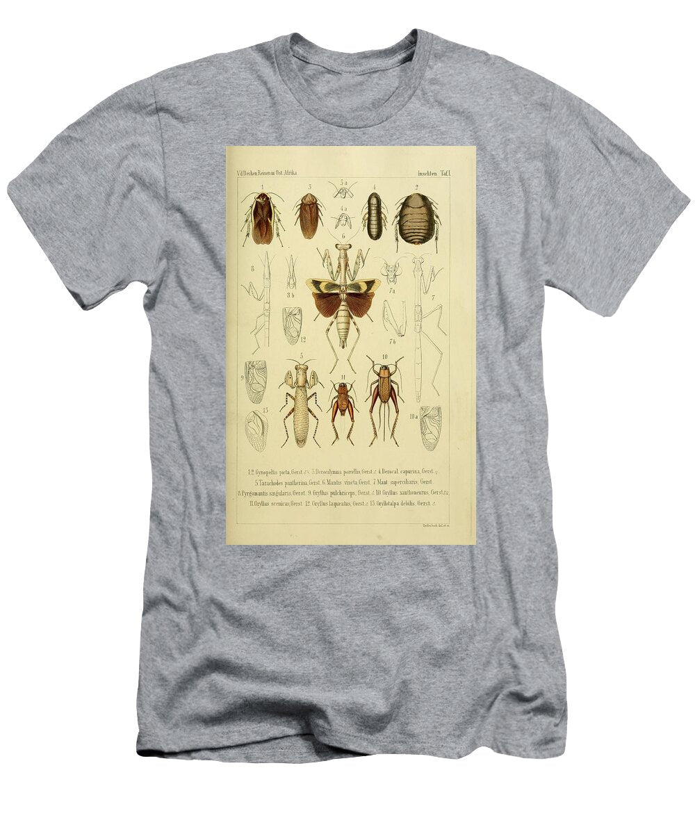 67 Insects Beautiful Nature Prints T-Shirt