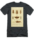 68 Insects Beautiful Nature Prints T-Shirt