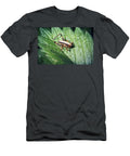 7 Pholidoptera Griseoaptera Dark Bush Cricket Nymph Insect Frank Ramspott T-Shirt