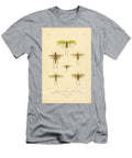 79 Insects Beautiful Nature Prints T-Shirt