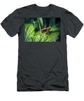 8 Pholidoptera Griseoaptera Dark Bush Cricket Nymph Insect Frank Ramspott T-Shirt