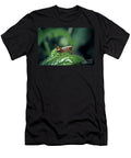 9 Pholidoptera Griseoaptera Dark Bush Cricket Nymph Insect Frank Ramspott T-Shirt