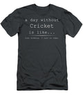 A Day Without Cricket Is Like Just Kidding Funny Awesome Store T-Shirt