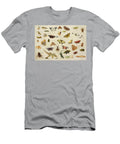 A Study of Insects Jan Van Kessel T-Shirt