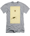 Blatta Locusta Beautiful Nature Prints T-Shirt