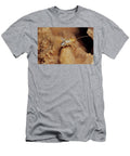 Blind Cave Cricket Inside Cave El Cielo Biosphere Reserve Claudio Contreras Natureplcom T-Shirt