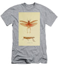Bombay Locust Beautiful Nature Prints T-Shirt