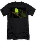 Bush Cricket Katydid Female Leaf Mimic Ovipositing Into Nick Garbutt Natureplcom T-Shirt