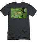 Bush Cricket Resting on a Leaf Nr Orvieto Umbria Italy Paul Harcourt Davies Natureplcom T-Shirt