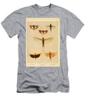 Common Grasshoppers Beautiful Nature Prints T-Shirt