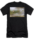 Cricket Warbler Perched on a Thorny Branch Aousserd Ugo Mellone Natureplcom T-Shirt