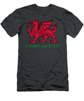 Cymru Am Byth Welsh Rugby Fans Haidew Miraa T-Shirt