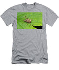 Dark Bush Cricket Female Whitelye Monmouthshire Wales Chris Mattison Natureplcom T-Shirt