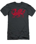 Dragon of Wales Flag Welsh Cymru Flags Medieval Welsh Rugby Assemj Georg T-Shirt