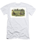 Elves in Suits of Armour Mounted on Crickets and Beetles Staging a Fairy Tournament Unknown T-Shirt