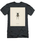 Field Crickets Gryllus Campestris Illustrated By Charles Dessalines D Orbigny 1806 1876 2 Celestial Images T-Shirt