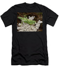 Great Green Bush Cricket Nymph Resting on Flowers Tolfa Paul Harcourt Davies Natureplcom T-Shirt