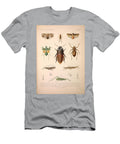 Insects Beautiful Nature Prints T-Shirt
