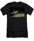 Lichen Katydid Camouflage in Lichens Sumaco National Park Lucas Bustamante Natureplcom T-Shirt