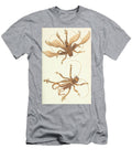 Locust Gryllus Beautiful Nature Prints T-Shirt