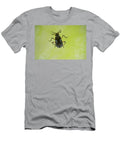 Minute Water Cricket Wingless Form on Water Lawn Pool Will Watson Natureplcom T-Shirt