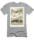 Mole Cricket Beautiful Nature Prints T-Shirt