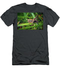 Pholidoptera Griseoaptera Dark Bush Cricket Insect Frank Ramspott T-Shirt