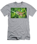 Roeseliana Roeselii Roesels Bush Cricket Insect Frank Ramspott T-Shirt