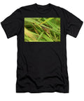Roesels Bush Cricket Female on Grass Blade Brownfield Will Watson Natureplcom T-Shirt