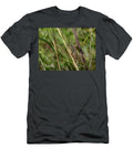 Roesels Bush Cricket Male Long Winged Form Resting on Nick Upton Natureplcom T-Shirt