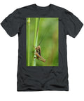 Roesels Bush Cricket Male Short Winged Form Resting on a Nick Upton Natureplcom T-Shirt