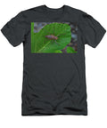 Rough Backed Bush Cricket Foraging on Leaf Vendee France Loic Poidevin Natureplcom T-Shirt