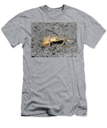 Short Winged Mole Cricket Resting on Soil Pest of Lawns Barry Mansell Natureplcom T-Shirt