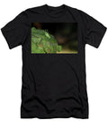 Southern Oak Bush Cricket Norfolk England UK Robin Chittenden Natureplcom T-Shirt